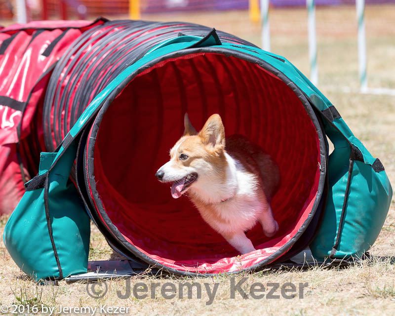 20160618-cckc-1016.jpg