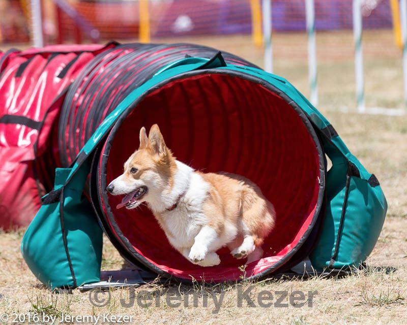 20160618-cckc-1017.jpg