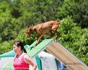 20160618-cckc-0889