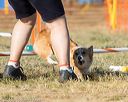 20160618-cckc-2537