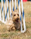 20160618-cckc-0859