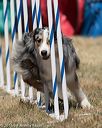 20160618-cckc-0788