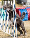 20160618-cckc-0741