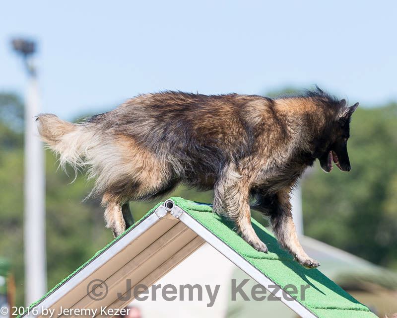 20160618-cckc-2166.jpg