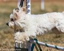 20160619-cckc-0373