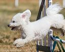 20160619-cckc-0417