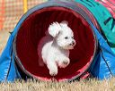20160619-cckc-0421