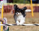 20160619-cckc-0438