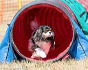 20160619-cckc-0441