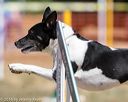 20160619-cckc-0494