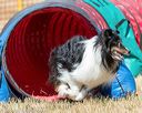 20160619-cckc-0520