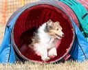 20160619-cckc-0527