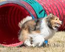 20160619-cckc-0529
