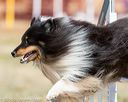 20160619-cckc-0533