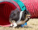 20160619-cckc-0535