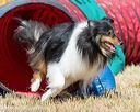 20160619-cckc-0541