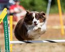 20160619-cckc-0550