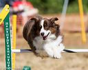 20160619-cckc-0554