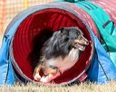 20160619-cckc-0558