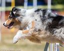 20160619-cckc-0709