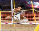 20160619-cckc-0720