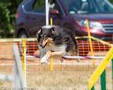 20160619-cckc-0762