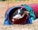 20160619-cckc-0797