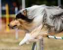 20160619-cckc-0857
