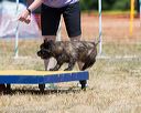 20160619-cckc-1120