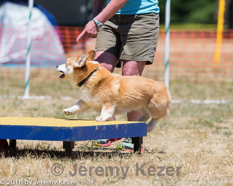 20160619-cckc-1174.jpg
