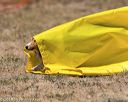 20160619-cckc-1235