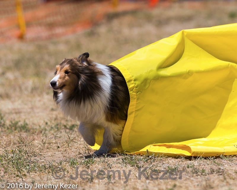 20160619-cckc-1236.jpg