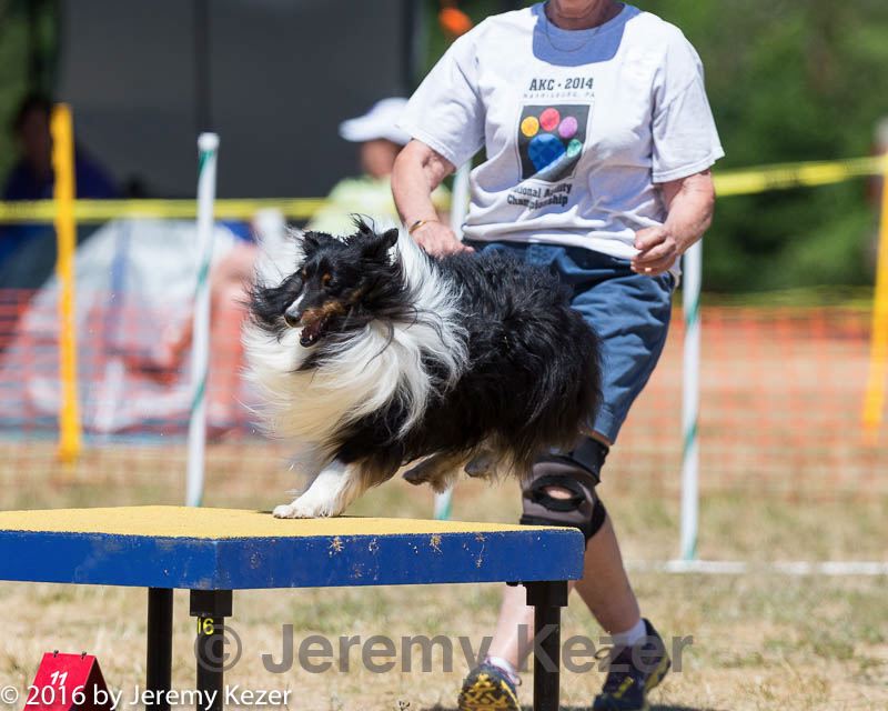 20160619-cckc-1239.jpg