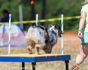 20160619-cckc-1545