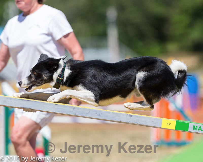 20160619-cckc-1315.jpg