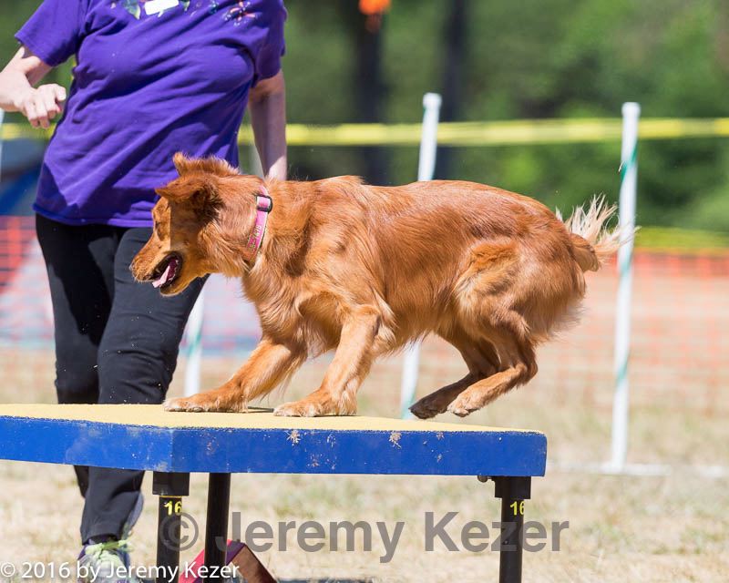 20160619-cckc-1394.jpg