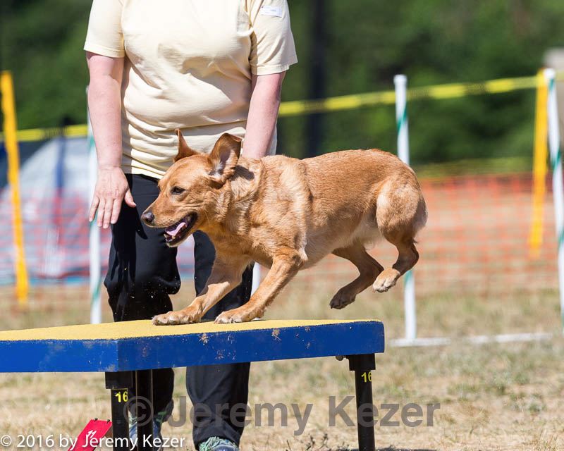 20160619-cckc-1465.jpg