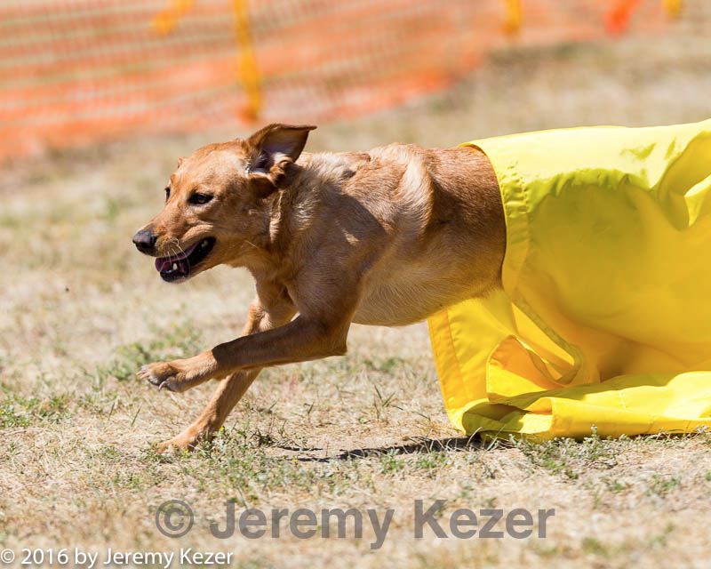 20160619-cckc-1471.jpg
