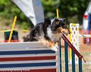 20160619-cckc-1619
