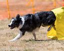 20160619-cckc-1699