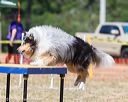 20160619-cckc-1703