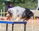 20160619-cckc-1704