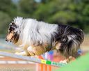 20160619-cckc-1705