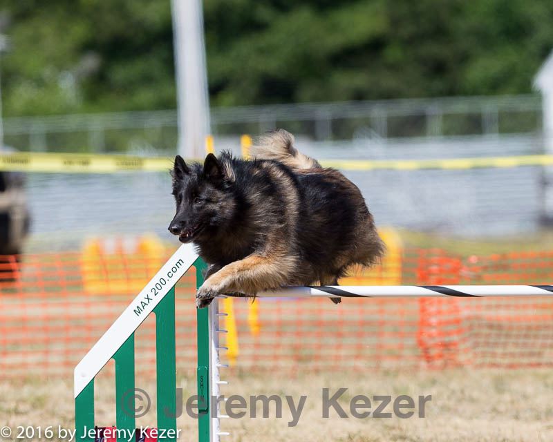 20160619-cckc-1582.jpg