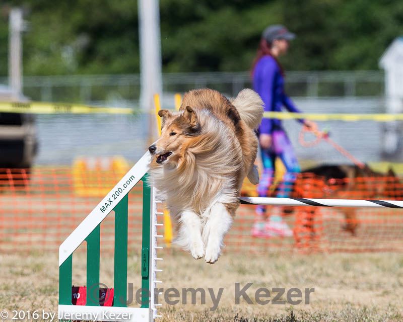 20160619-cckc-1606.jpg