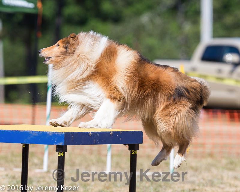20160619-cckc-1608.jpg