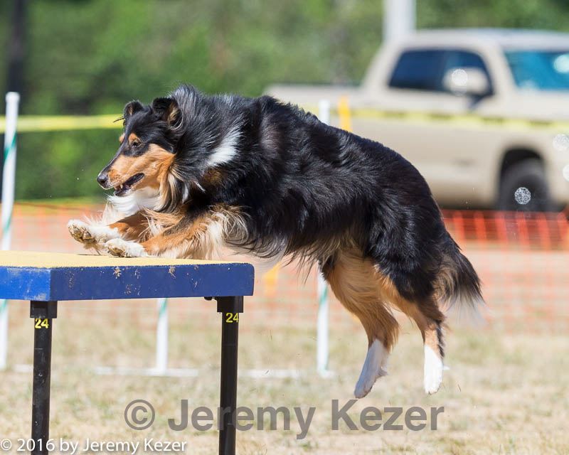 20160619-cckc-1622.jpg