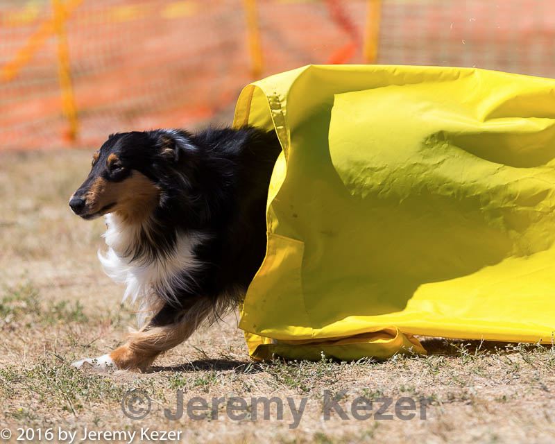 20160619-cckc-1627.jpg
