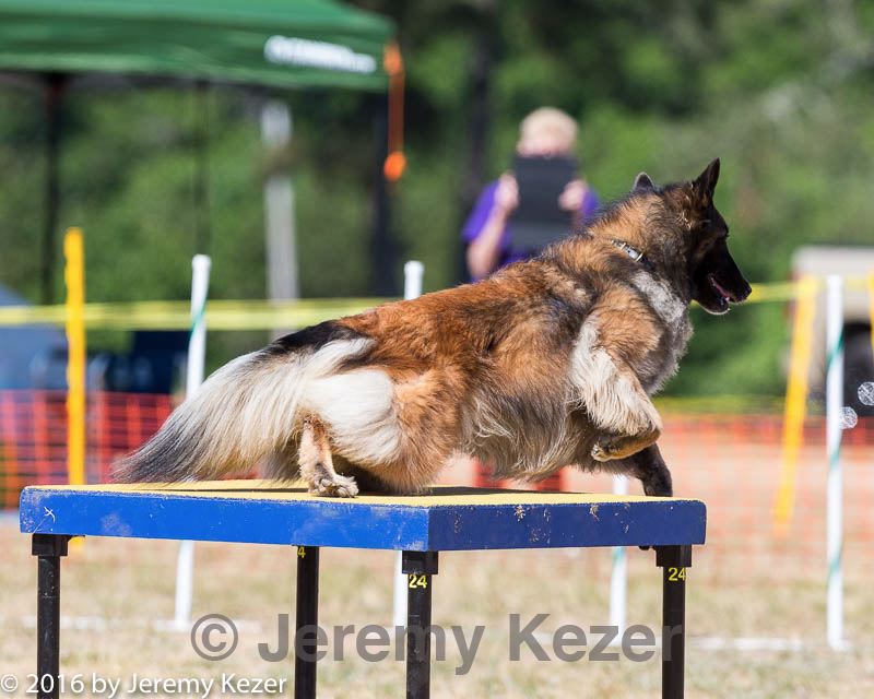 20160619-cckc-1654.jpg