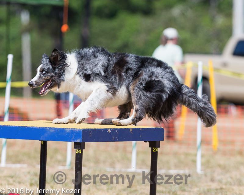 20160619-cckc-1693.jpg